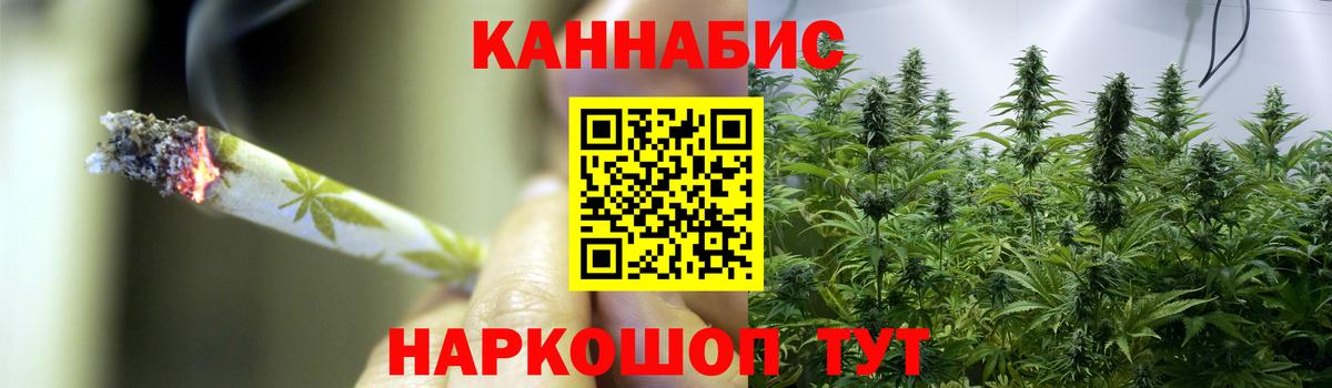 Бошки марихуана ГИДРОПОН  Бошки Шишки OG Kush  Каннабис планчик  Железногорск  Вход с VPN 